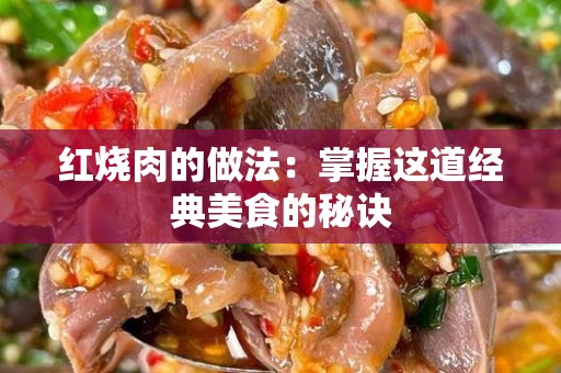 红烧肉的做法：掌握这道经典美食的秘诀
