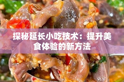 探秘延长小吃技术：提升美食体验的新方法