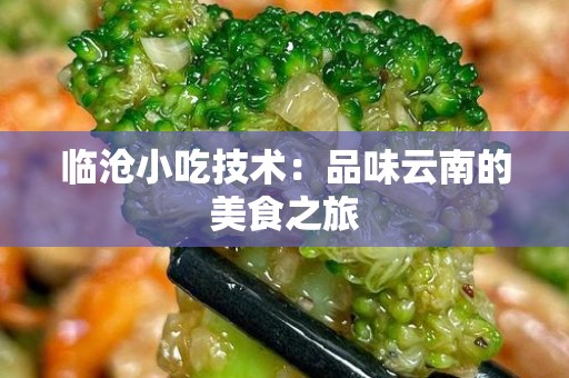 临沧小吃技术：品味云南的美食之旅