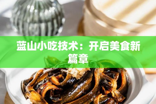 蓝山小吃技术：开启美食新篇章