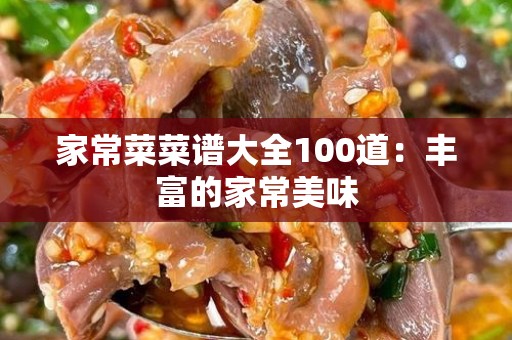 家常菜菜谱大全100道：丰富的家常美味