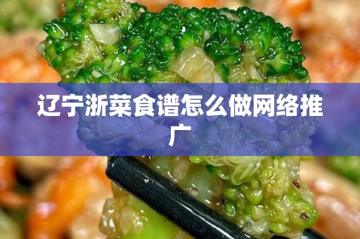 辽宁浙菜食谱怎么做网络推广
