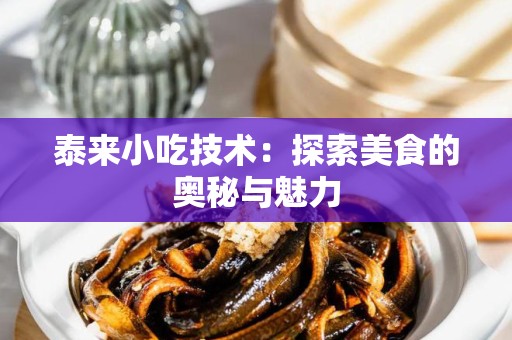 泰来小吃技术：探索美食的奥秘与魅力