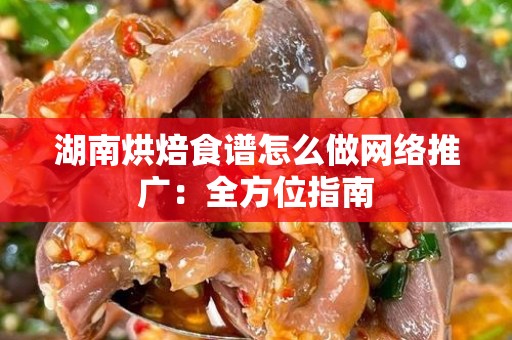 湖南烘焙食谱怎么做网络推广：全方位指南