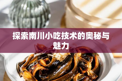 探索南川小吃技术的奥秘与魅力
