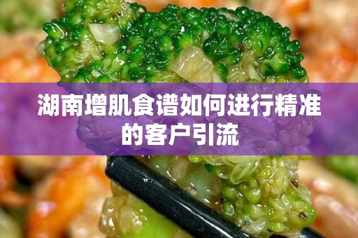 湖南增肌食谱如何进行精准的客户引流