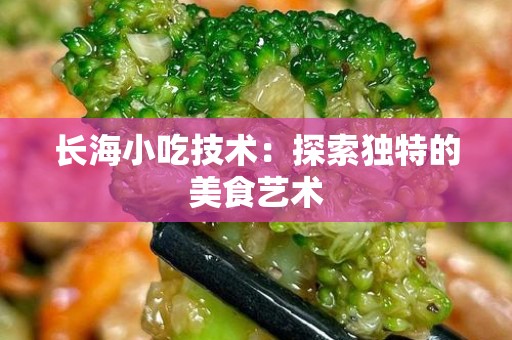 长海小吃技术：探索独特的美食艺术