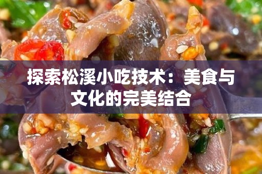 探索松溪小吃技术：美食与文化的完美结合