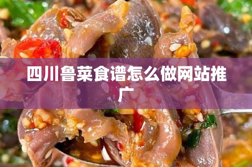 四川鲁菜食谱怎么做网站推广