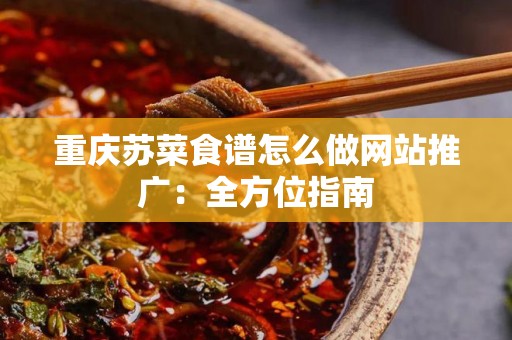 重庆苏菜食谱怎么做网站推广：全方位指南