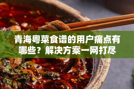 青海粤菜食谱的用户痛点有哪些？解决方案一网打尽