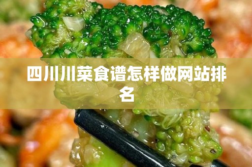 四川川菜食谱怎样做网站排名