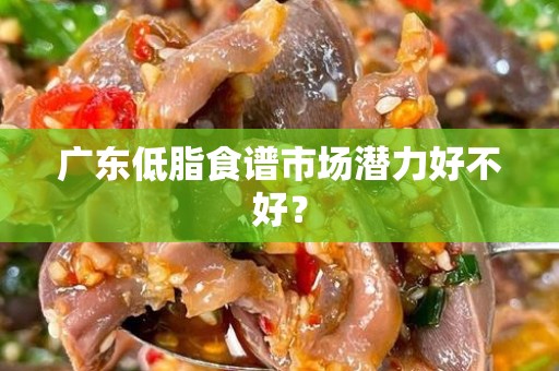 广东低脂食谱市场潜力好不好？
