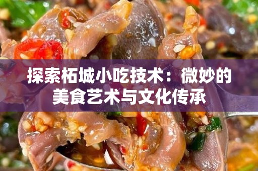 探索柘城小吃技术：微妙的美食艺术与文化传承