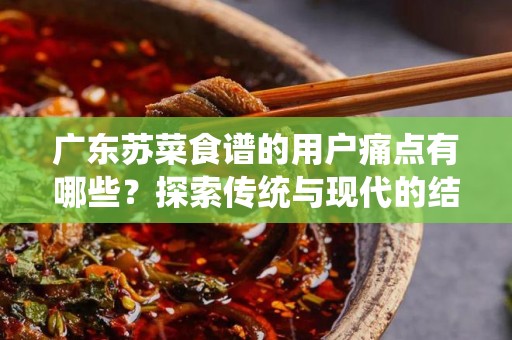 广东苏菜食谱的用户痛点有哪些？探索传统与现代的结合