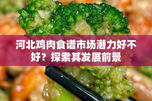 河北鸡肉食谱市场潜力好不好？探索其发展前景