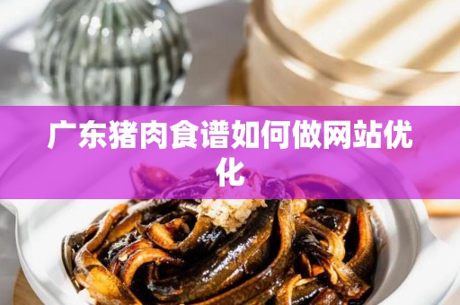 广东猪肉食谱如何做网站优化