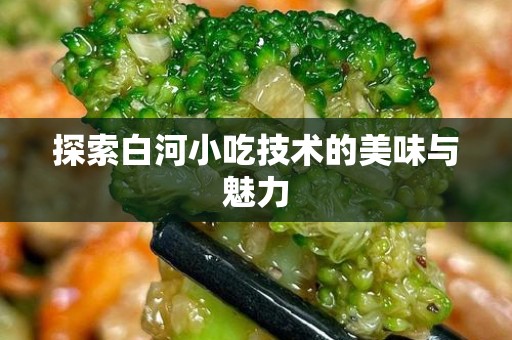 探索白河小吃技术的美味与魅力