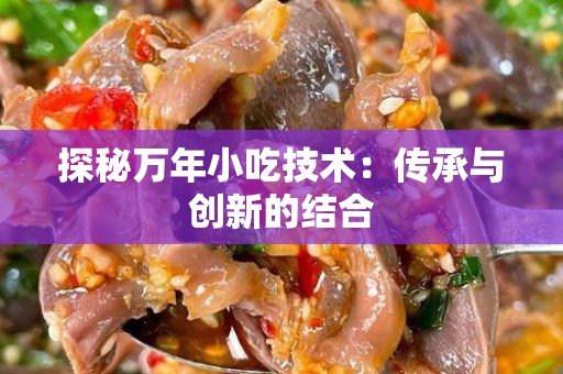 探秘万年小吃技术：传承与创新的结合