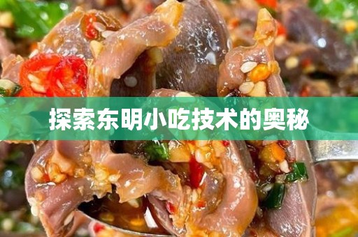 探索东明小吃技术的奥秘