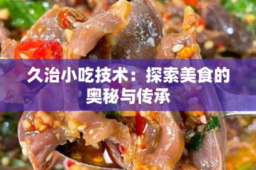久治小吃技术：探索美食的奥秘与传承
