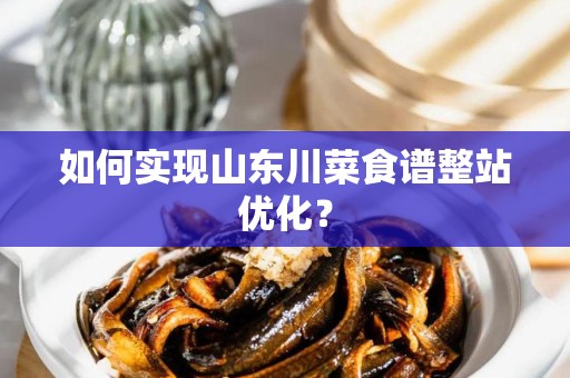 如何实现山东川菜食谱整站优化？