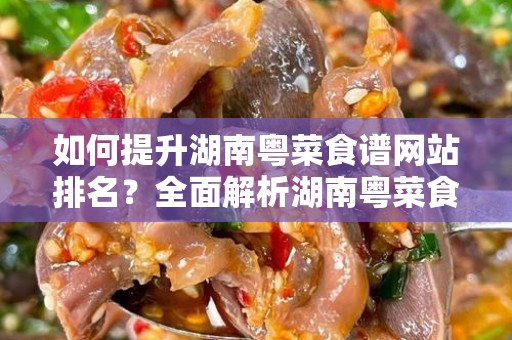 如何提升湖南粤菜食谱网站排名？全面解析湖南粤菜食谱怎样做网站排名