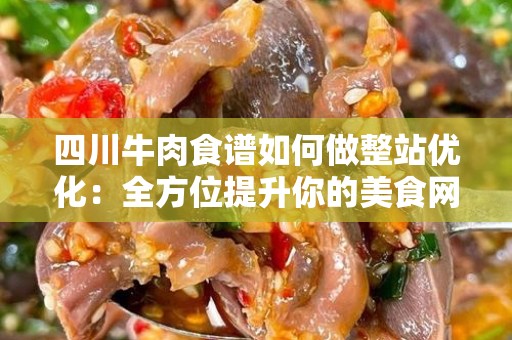 四川牛肉食谱如何做整站优化：全方位提升你的美食网站