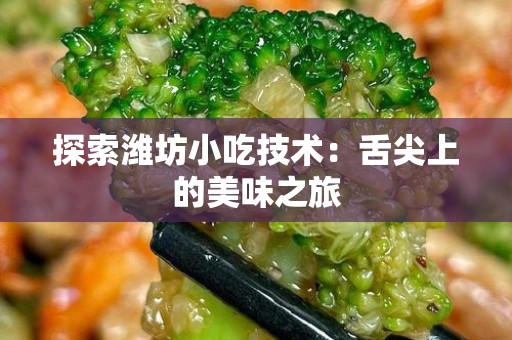 探索潍坊小吃技术：舌尖上的美味之旅