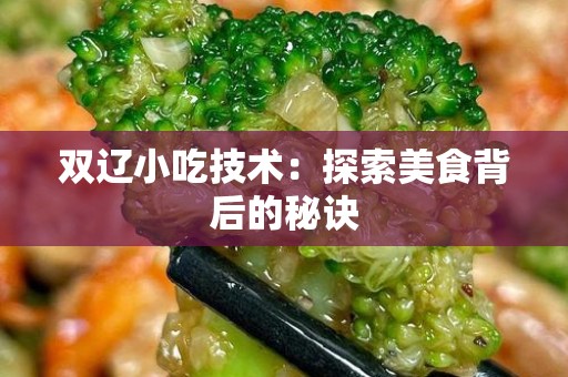 双辽小吃技术：探索美食背后的秘诀