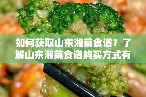 如何获取山东湘菜食谱？了解山东湘菜食谱购买方式有哪些