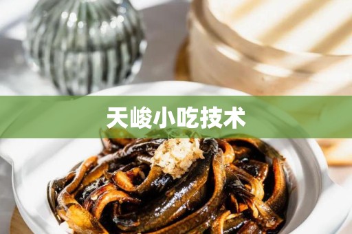 天峻小吃技术