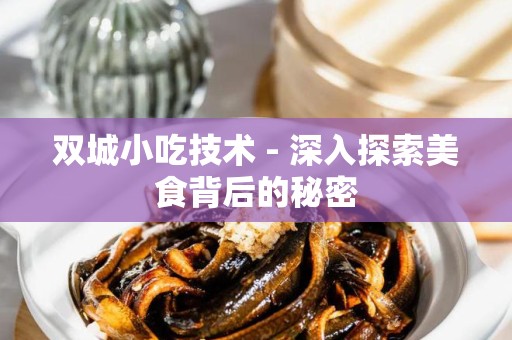 双城小吃技术 - 深入探索美食背后的秘密
