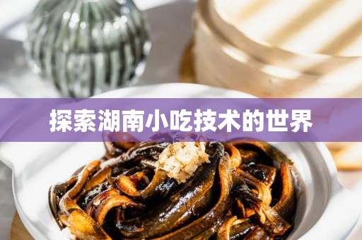 探索湖南小吃技术的世界