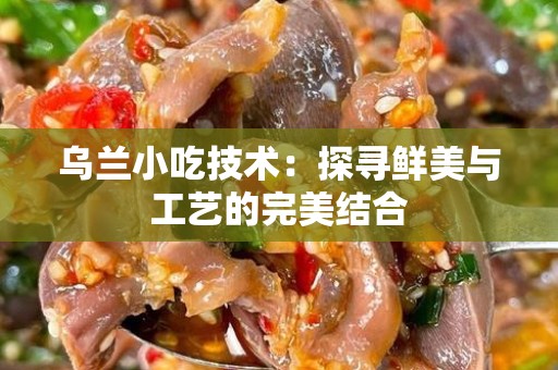 乌兰小吃技术：探寻鲜美与工艺的完美结合