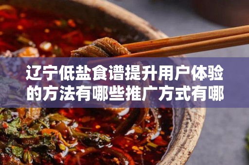 辽宁低盐食谱提升用户体验的方法有哪些推广方式有哪些