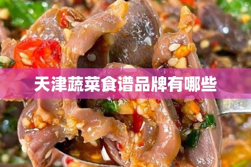 天津蔬菜食谱品牌有哪些