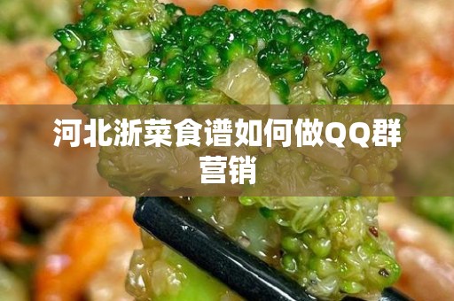 河北浙菜食谱如何做QQ群营销