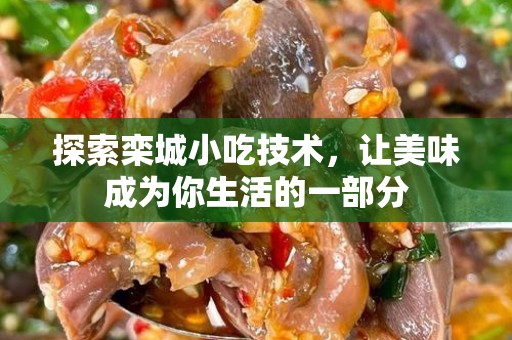 探索栾城小吃技术，让美味成为你生活的一部分