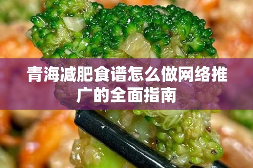 青海减肥食谱怎么做网络推广的全面指南