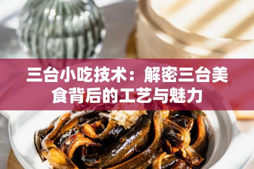三台小吃技术：解密三台美食背后的工艺与魅力