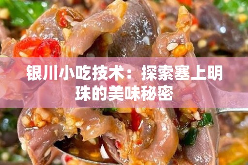 银川小吃技术：探索塞上明珠的美味秘密