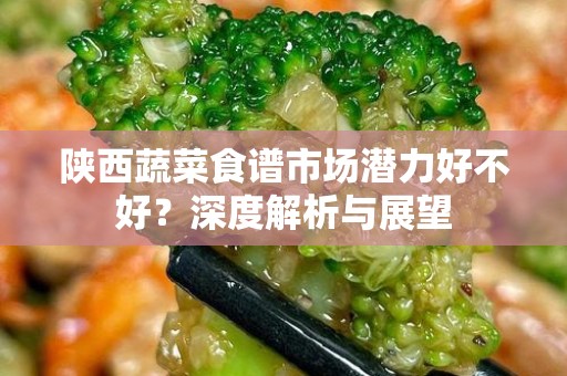 陕西蔬菜食谱市场潜力好不好？深度解析与展望