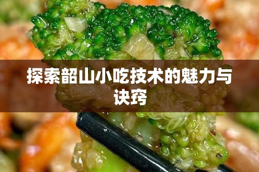 探索韶山小吃技术的魅力与诀窍