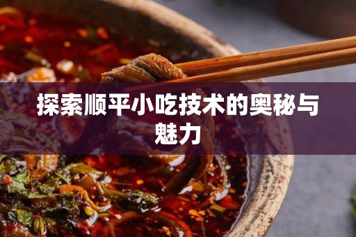 探索顺平小吃技术的奥秘与魅力