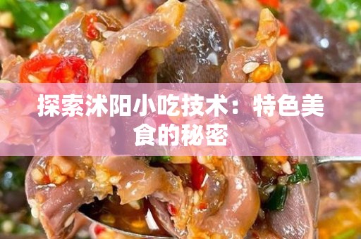 探索沭阳小吃技术：特色美食的秘密