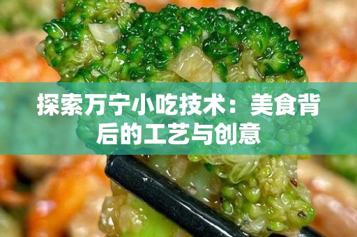 探索万宁小吃技术：美食背后的工艺与创意
