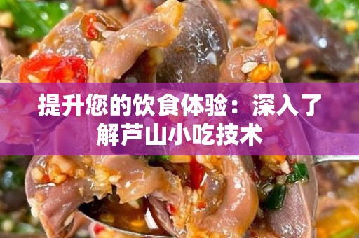提升您的饮食体验：深入了解芦山小吃技术