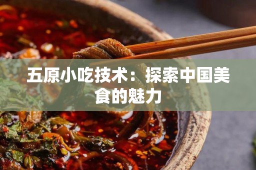 五原小吃技术：探索中国美食的魅力