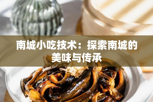 南城小吃技术：探索南城的美味与传承